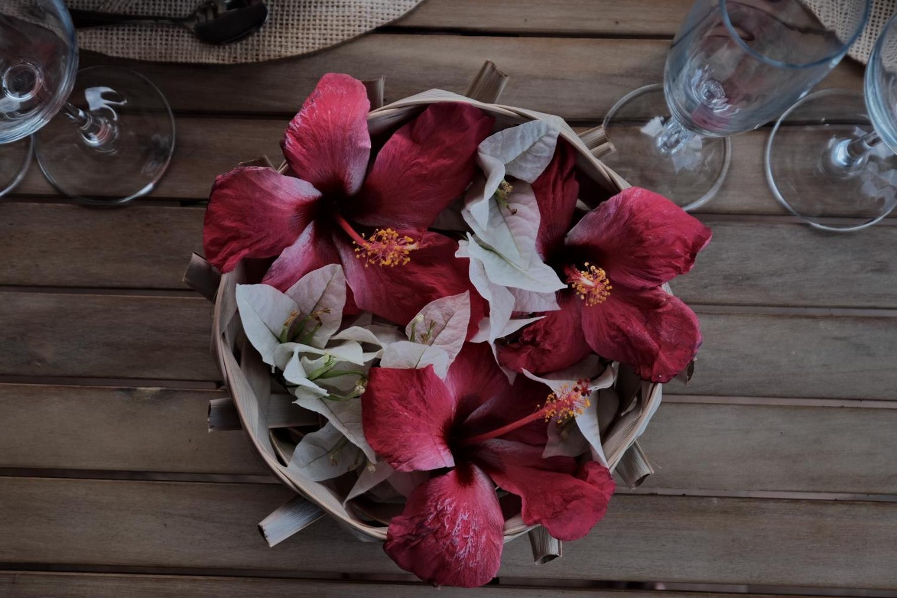 Residence Terre Et Passion Ducos 外观 照片